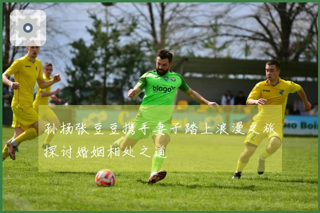 孙杨张豆豆携手妻子踏上浪漫之旅探讨婚姻相处之道